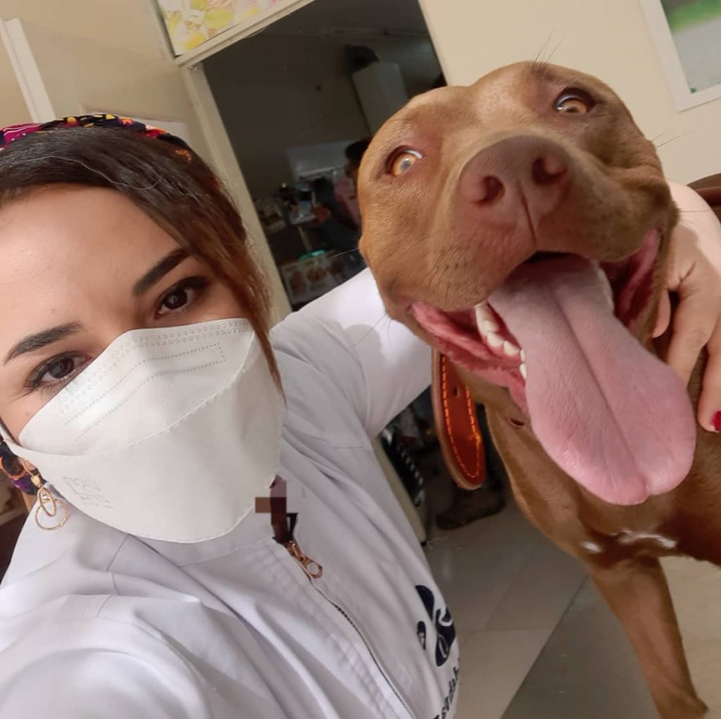 واکسیناسیون