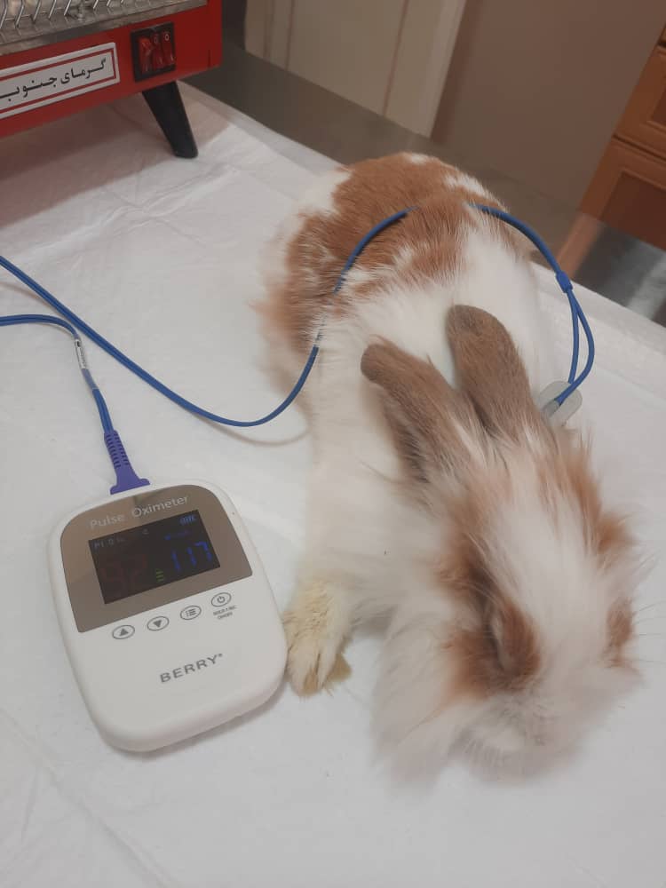 معاینه و ویزیت