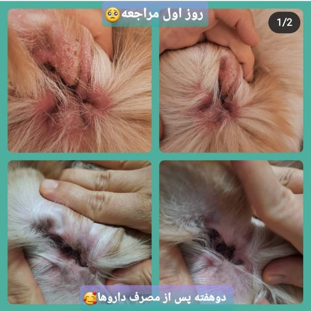 درمان انواع بیماری